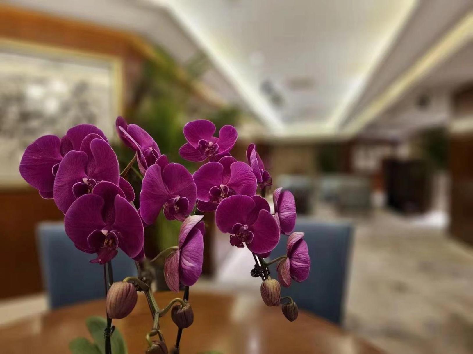 Regent Beijing Hotel Kültér fotó